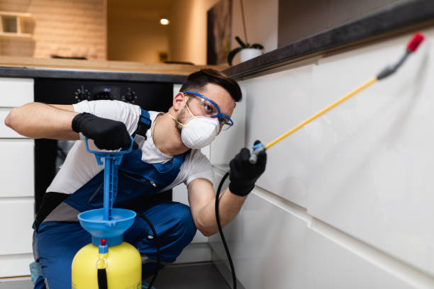 Pest Prevention Services in Micco, FL