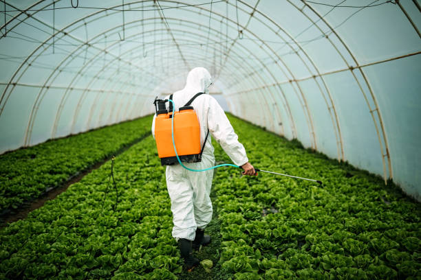 Best Emergency Pest Control  in Micco, FL