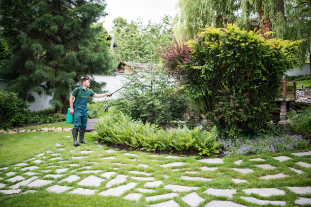 Best Affordable Pest Control Services  in Micco, FL