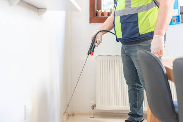 Best Pest Inspection Near Me  in Micco, FL
