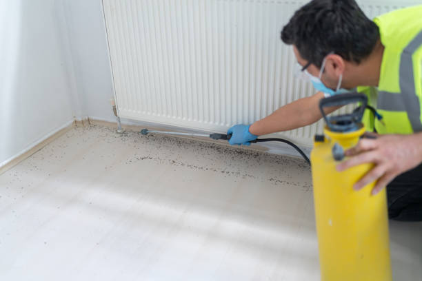 Best Cockroach Control Services  in Micco, FL